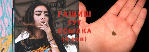 стаф Каменск-Шахтинский