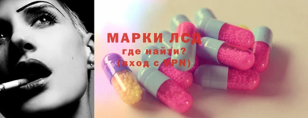 стаф Каменск-Шахтинский