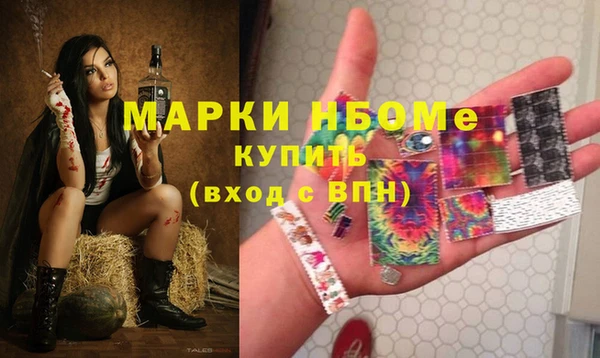 стаф Каменск-Шахтинский