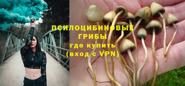 MESCALINE Каменка