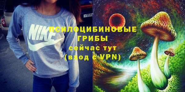 MESCALINE Каменка